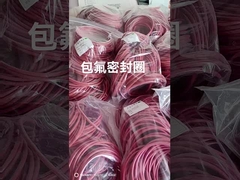 FEP Encap siliconen O-ring, FEP Encap Viton O-ring