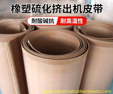 High Tensile Strength PTFE Mesh Belt with Bullnose Joint and Excellent Chemical Resistance