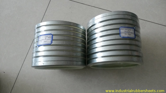 High Wear Resistance Siliocne Rubber Washers Steel DKBI/DKB Oil Seal With High Quality,White Color