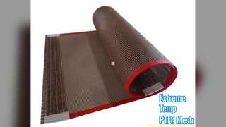 PTFE-gaasriem Max. breedte 4m Hoge temperatuur